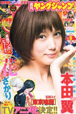 帝国时代2中文版